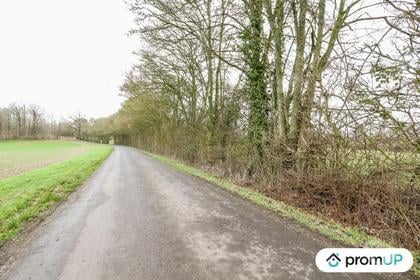Vente Terrain Chailloue Orne - Photos Vivastreet (VT246) Deux grands terrains constructibles