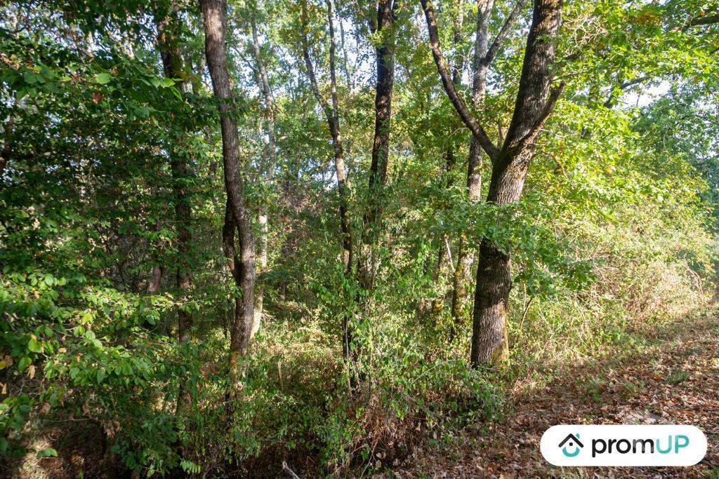 Terrain à vendre Corrèze Ussac - 19270 - Photos Vivastreet (VT048) Terrain constructible de 3 564 m²