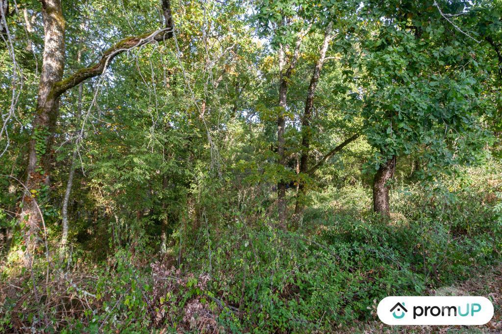 Terrain à vendre Corrèze Ussac - 19270 - Photos Vivastreet (VT048) Terrain constructible de 3 564 m²