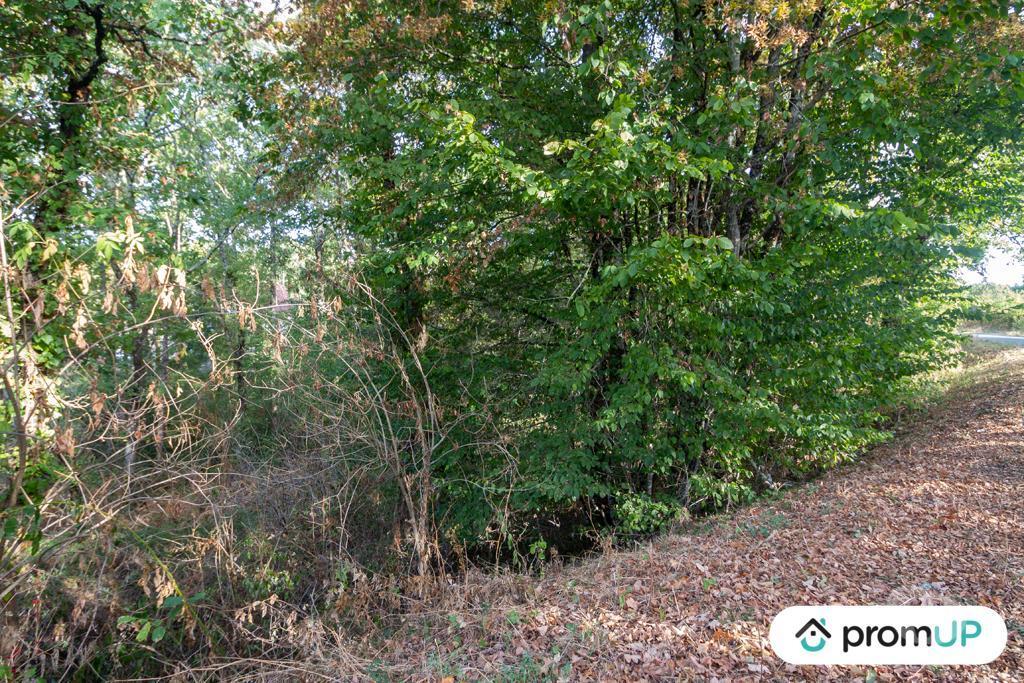 Terrain à vendre Corrèze Ussac - 19270 - Photos Vivastreet (VT048) Terrain constructible de 3 564 m²