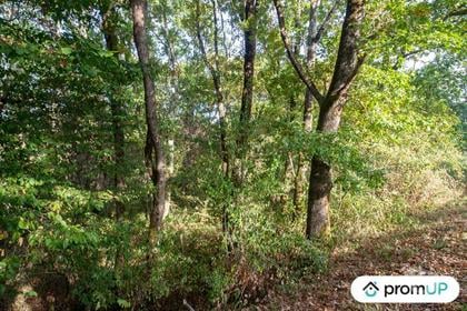 Vente Terrain Ussac Corrèze - Photos Vivastreet (VT048) Terrain constructible de 3 564 m²