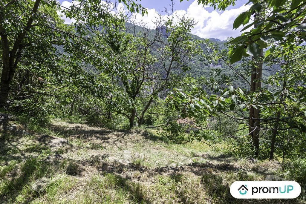 Terrain à vendre Alpes-Maritimes Belvedere - 06450 - Photos Vivastreet (V6000) Terrain constructible de 4500m2 avec grange à BELVÉDÈRE