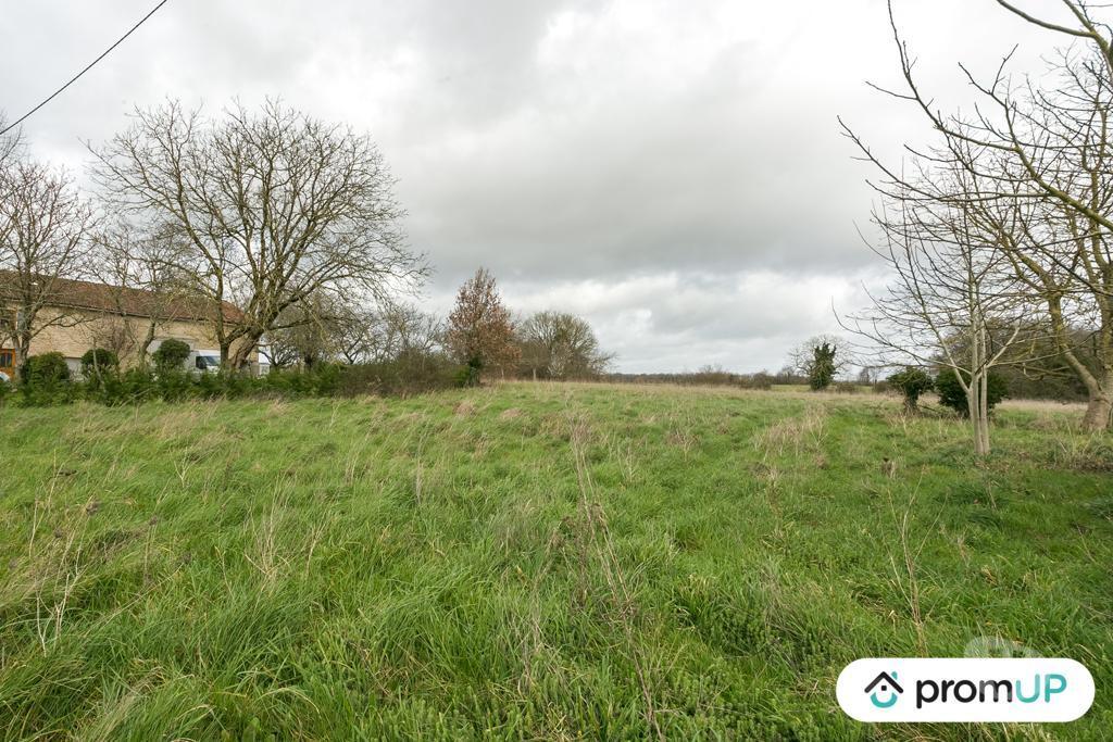 Terrain à vendre Charente Vieux Ruffec - 16350 - Photos Vivastreet (VT346) Terrains non constructibles de 7200 m²