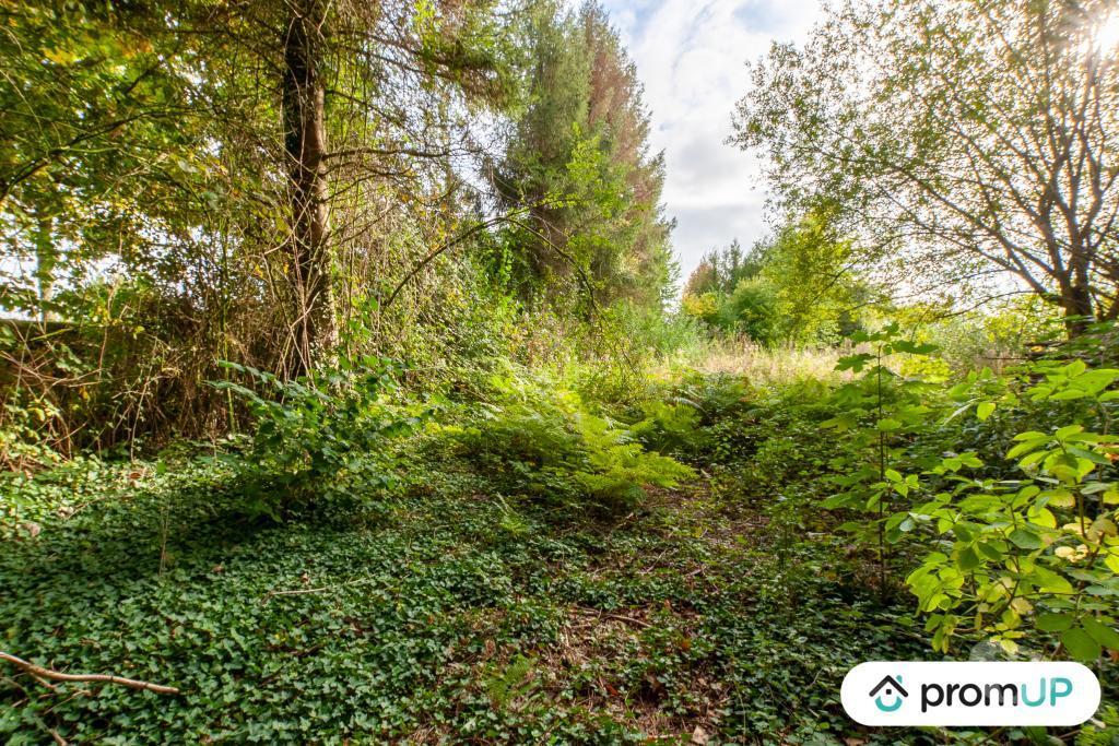 Terrain à vendre Calvados Drubec - 14130 - Photos Vivastreet (V4804) Terrain de loisir 1600 m²