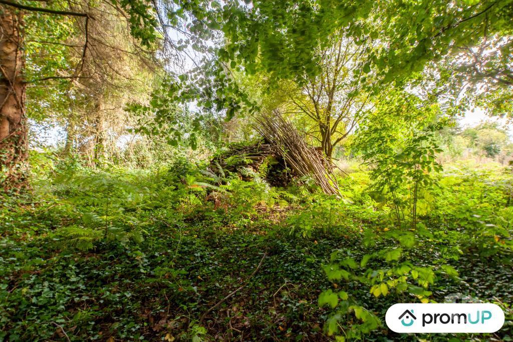 Terrain à vendre Calvados Drubec - 14130 - Photos Vivastreet (V4804) Terrain de loisir 1600 m²