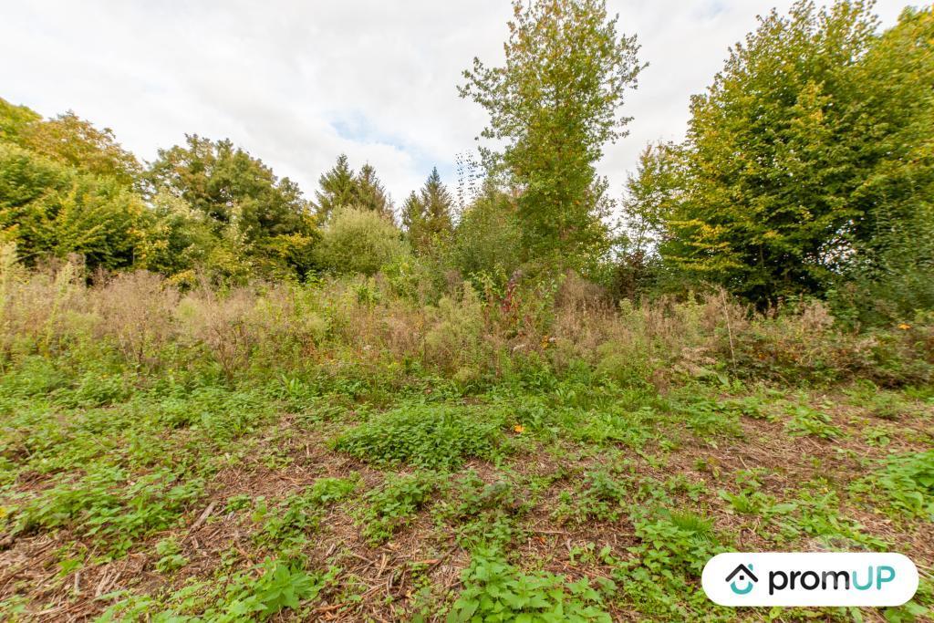 Terrain à vendre Calvados Drubec - 14130 - Photos Vivastreet (V4804) Terrain de loisir 1600 m²