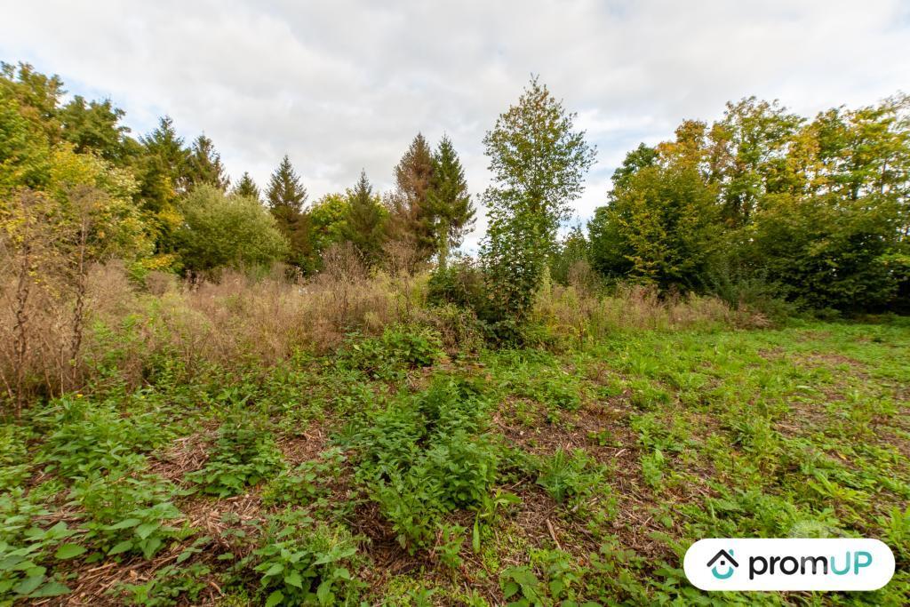 Terrain à vendre Calvados Drubec - 14130 - Photos Vivastreet (V4804) Terrain de loisir 1600 m²