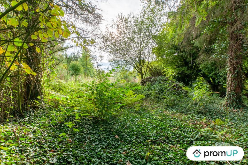 Terrain à vendre Calvados Drubec - 14130 - Photos Vivastreet (V4804) Terrain de loisir 1600 m²