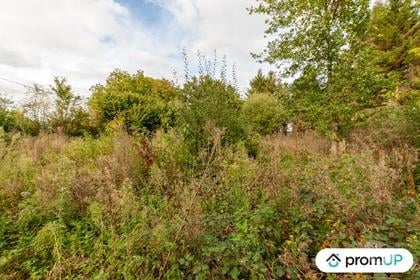 Vente Terrain Drubec Calvados - Photos Vivastreet (V4804) Terrain de loisir 1600 m²