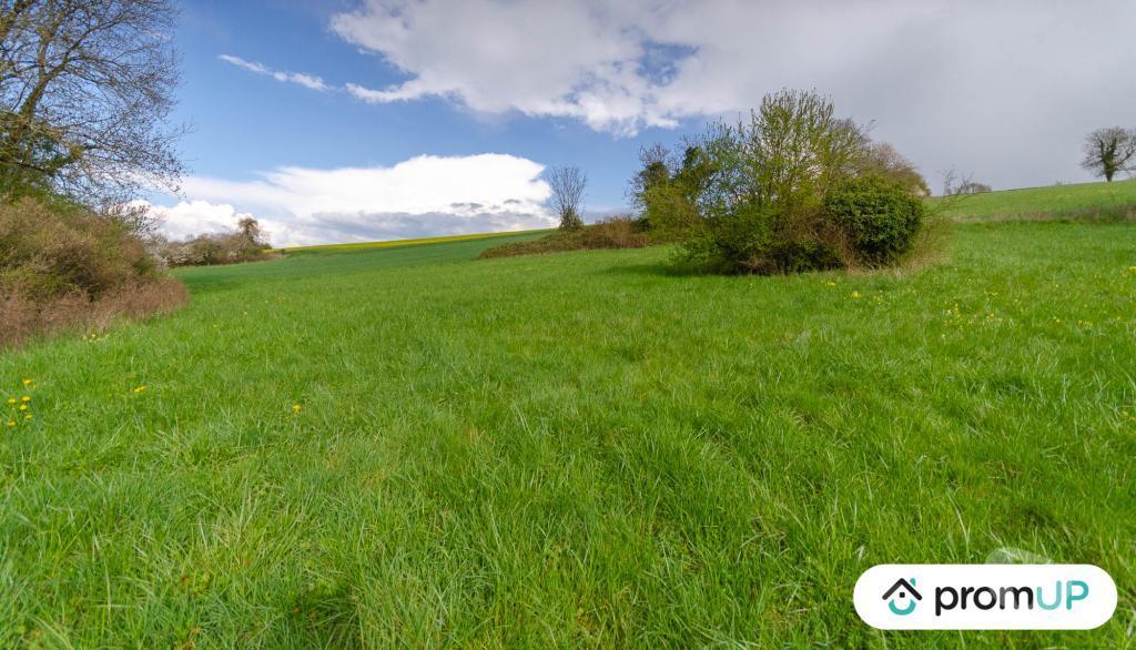 Terrain à vendre Yonne Venizy - 89210 - Photos Vivastreet (V5707) Terrain de 16 000 m2 dont 4000 m2 constructibles à Venizy