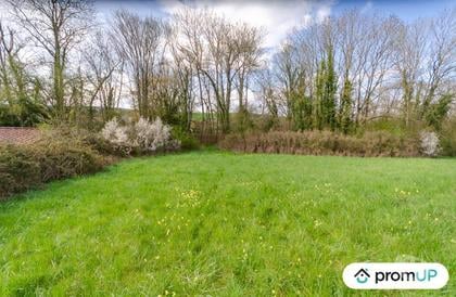 Vente Terrain Venizy Yonne - Photos Vivastreet (V5707) Terrain de 16 000 m2 dont 4000 m2 constructibles à Venizy