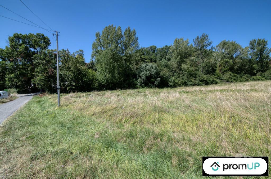 Terrain à vendre Tarn-et-Garonne Malause - 82200 - Photos Vivastreet (V6161) Terrain de loisir à Malause