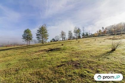 Vente Terrain Ste Foy de Belves Dordogne - Photos Vivastreet (VT666) Terrain agricole de 6000m²