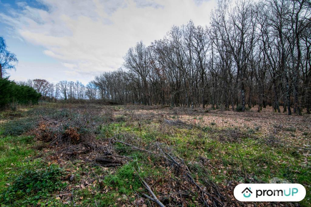 Terrain à vendre Tarn-et-Garonne Dieupentale - 82170 - Photos Vivastreet (V5306) Terrain constructible de 2689m2 à DIEUPENTALE