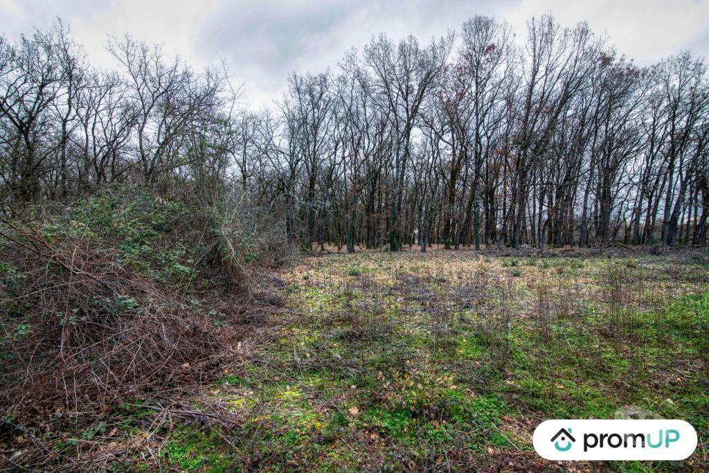 Terrain à vendre Tarn-et-Garonne Dieupentale - 82170 - Photos Vivastreet (V5306) Terrain constructible de 2689m2 à DIEUPENTALE