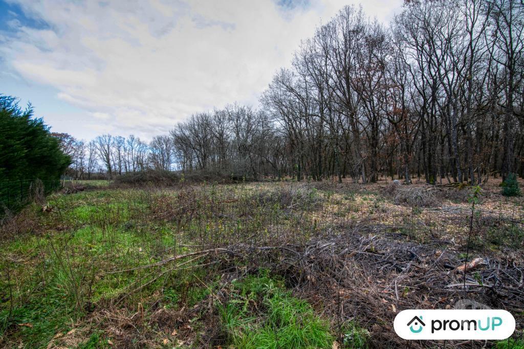 Terrain à vendre Tarn-et-Garonne Dieupentale - 82170 - Photos Vivastreet (V5306) Terrain constructible de 2689m2 à DIEUPENTALE