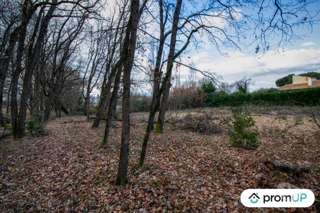 Terrain à vendre Tarn-et-Garonne Dieupentale - 82170 - Photos Vivastreet (V5306) Terrain constructible de 2689m2 à DIEUPENTALE