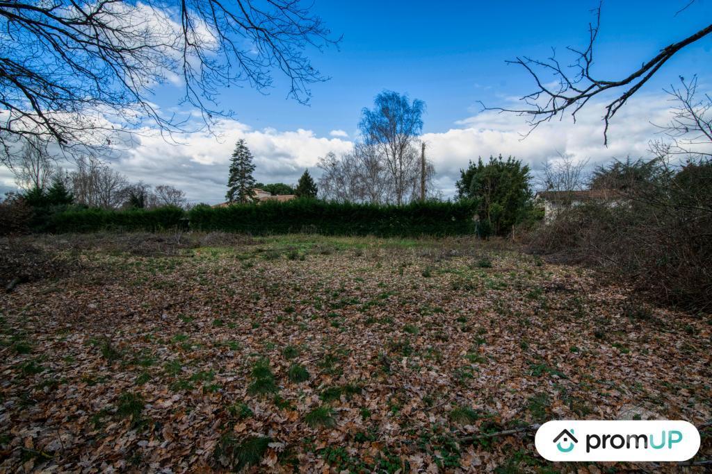 Terrain à vendre Tarn-et-Garonne Dieupentale - 82170 - Photos Vivastreet (V5306) Terrain constructible de 2689m2 à DIEUPENTALE