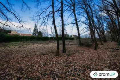 Vente Terrain Dieupentale Tarn-et-Garonne - Photos Vivastreet (V5306) Terrain constructible de 2689m2 à DIEUPENTALE