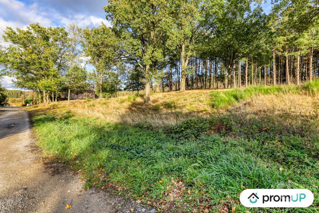 Terrain à vendre Allier St Victor - 03410 - Photos Vivastreet (V6380) Terrain constructible de 2329 m2 à SAINT-VICTOR