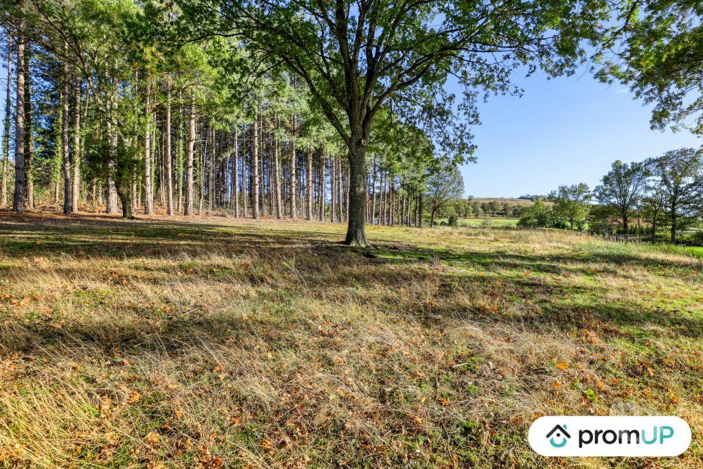 Terrain à vendre Allier St Victor - 03410 - Photos Vivastreet (V6380) Terrain constructible de 2329 m2 à SAINT-VICTOR
