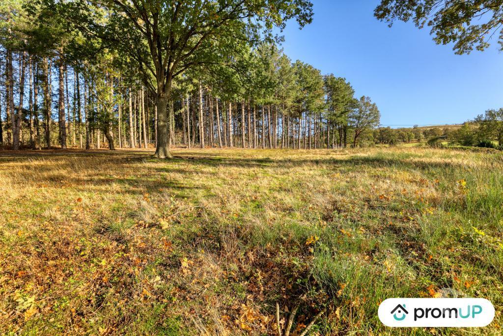 Terrain à vendre Allier St Victor - 03410 - Photos Vivastreet (V6380) Terrain constructible de 2329 m2 à SAINT-VICTOR