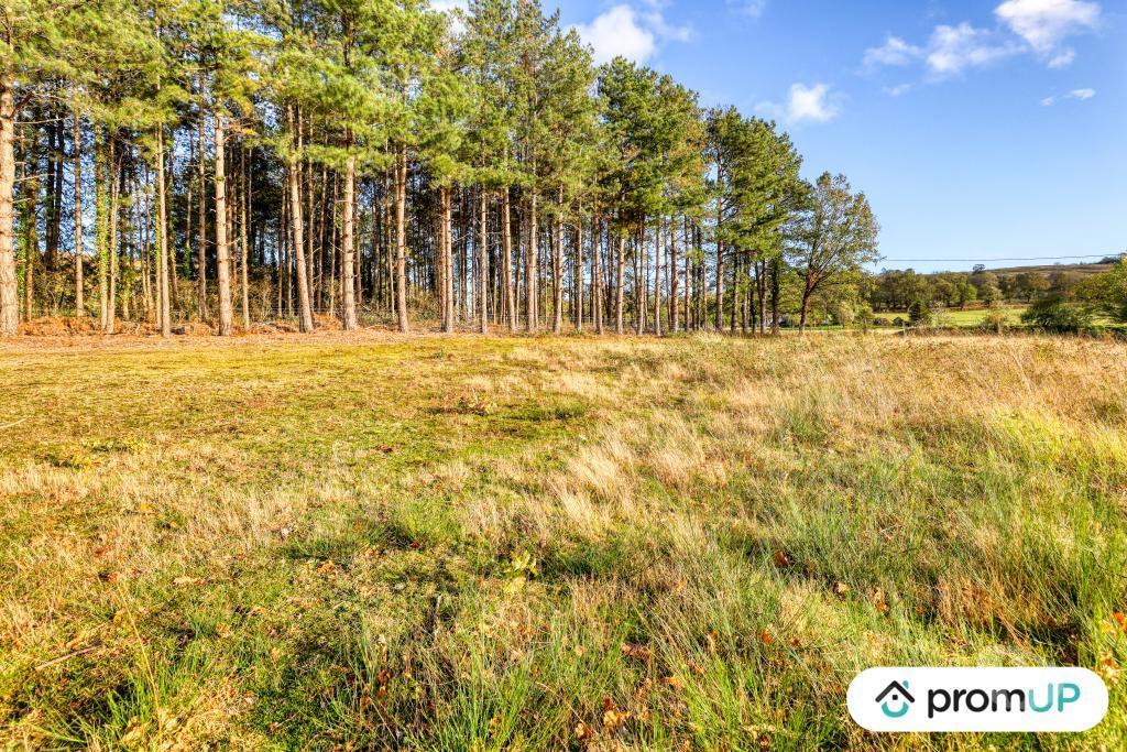 Terrain à vendre Allier St Victor - 03410 - Photos Vivastreet (V6380) Terrain constructible de 2329 m2 à SAINT-VICTOR