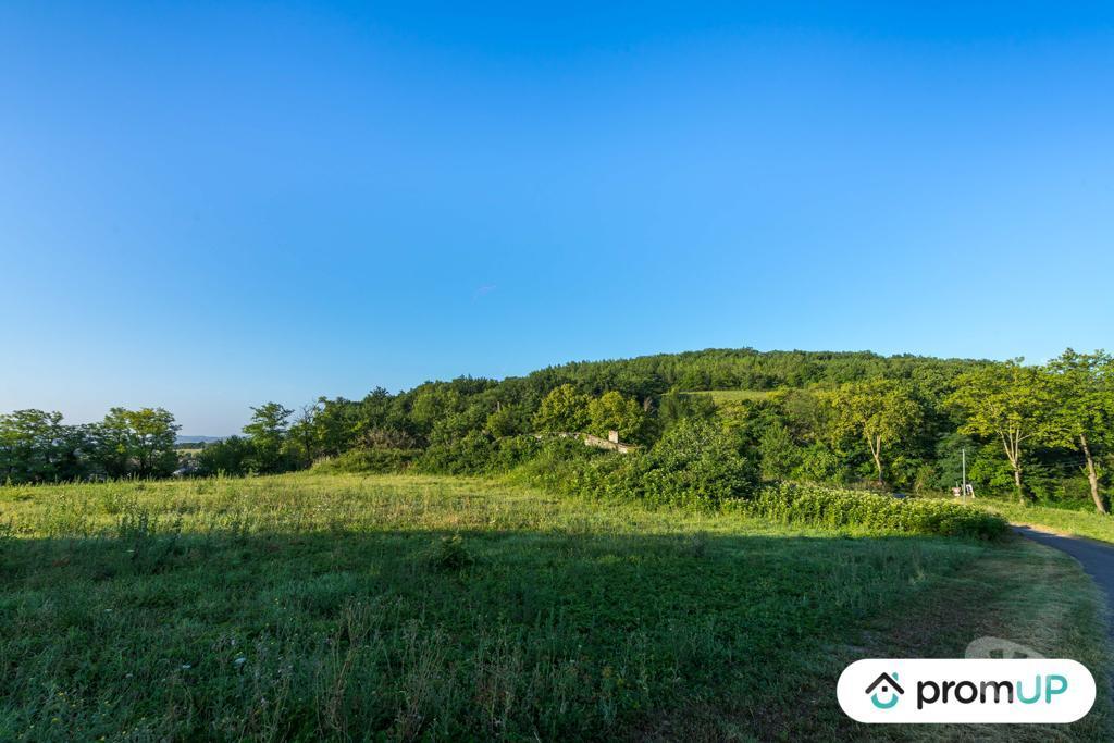 Vente Maison Lot-et-Garonne Clairac - 47320 - Photos Vivastreet (VM536) Ferme de 90 m2 à réhabiliter