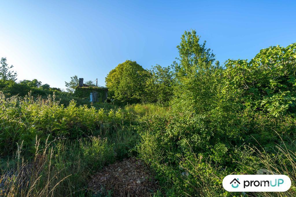 Vente Maison Lot-et-Garonne Clairac - 47320 - Photos Vivastreet (VM536) Ferme de 90 m2 à réhabiliter