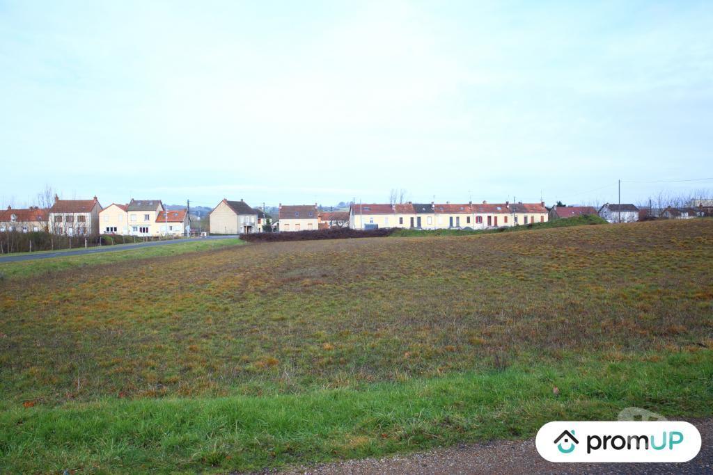 Terrain à vendre Saône-et-Loire Digoin - 71160 - Photos Vivastreet (V5418) Terrain de 11 990 m2 à Digoin
