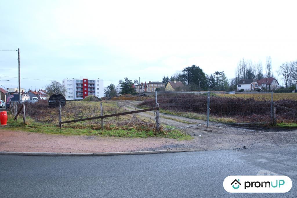 Terrain à vendre Saône-et-Loire Digoin - 71160 - Photos Vivastreet (V5418) Terrain de 11 990 m2 à Digoin