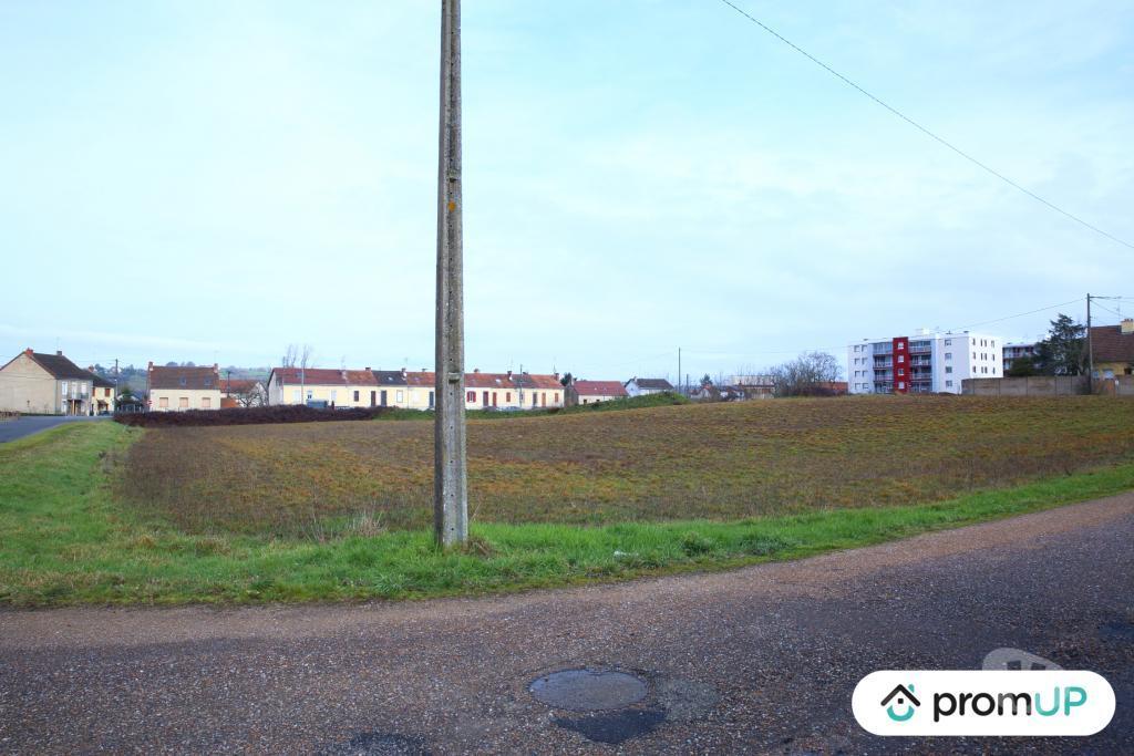 Terrain à vendre Saône-et-Loire Digoin - 71160 - Photos Vivastreet (V5418) Terrain de 11 990 m2 à Digoin