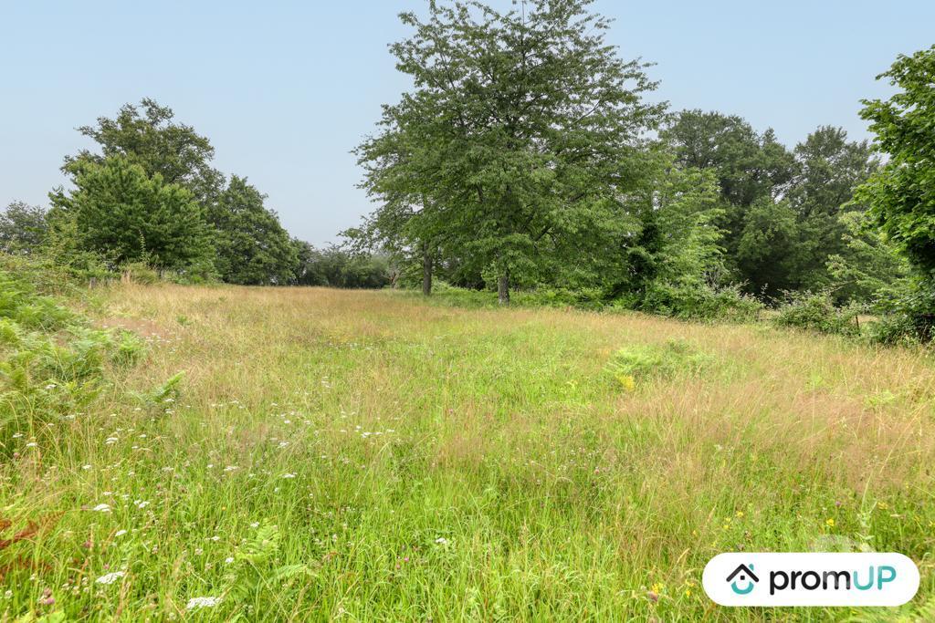 Terrain à vendre Haute-Vienne Oradour sur Vayres - 87150 - Photos Vivastreet (VT912) Terrain constructible de 1831m²