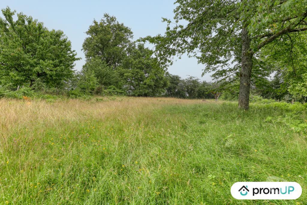 Terrain à vendre Haute-Vienne Oradour sur Vayres - 87150 - Photos Vivastreet (VT912) Terrain constructible de 1831m²
