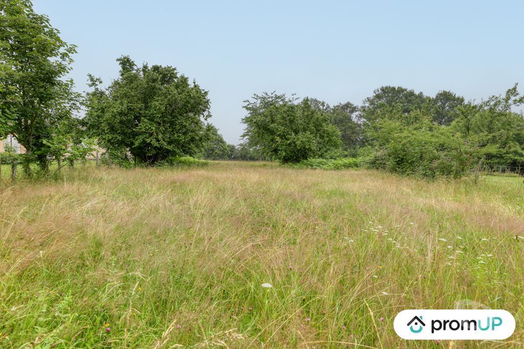 Terrain à vendre Haute-Vienne Oradour sur Vayres - 87150 - Photos Vivastreet (VT912) Terrain constructible de 1831m²
