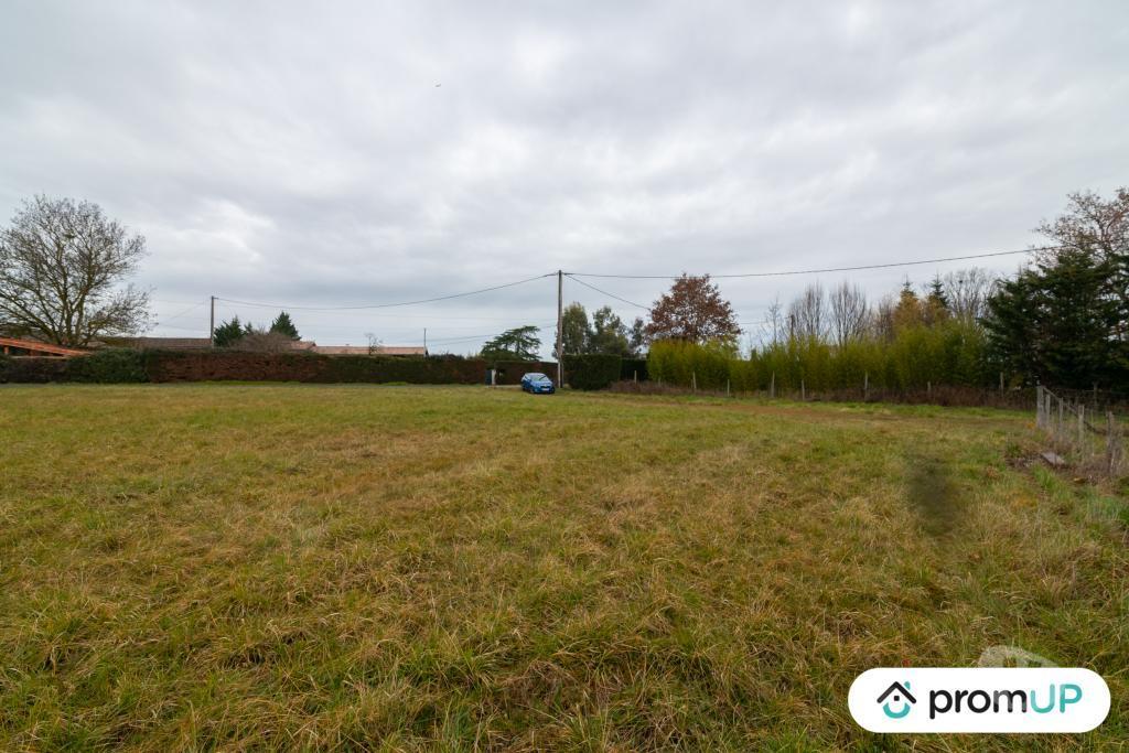 Terrain à vendre Haute-Garonne Vacquiers - 31340 - Photos Vivastreet (V5445) Terrain de loisir de 2 078 m2 à Vacquiers