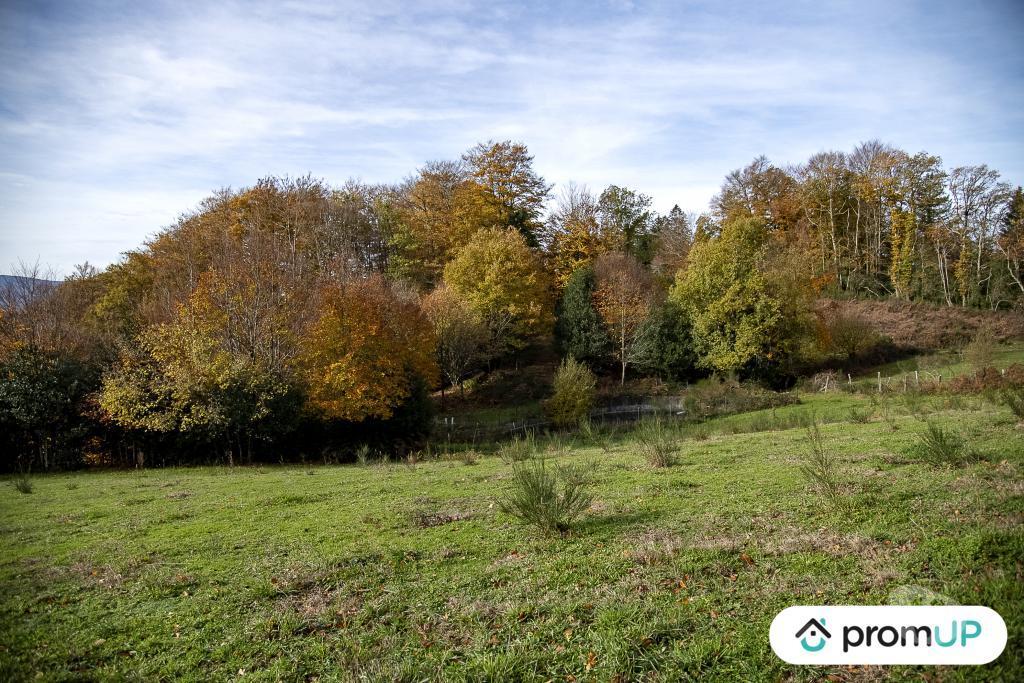 Terrain à vendre Tarn Rouairoux - 81240 - Photos Vivastreet (V4922) Terrain agricole 3,05 ha avec sources