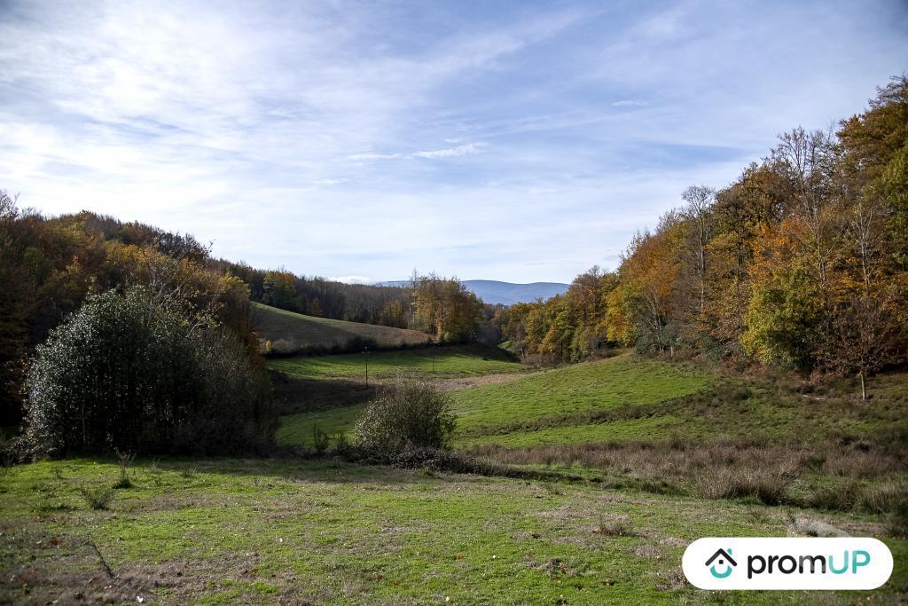 Terrain à vendre Tarn Rouairoux - 81240 - Photos Vivastreet (V4922) Terrain agricole 3,05 ha avec sources
