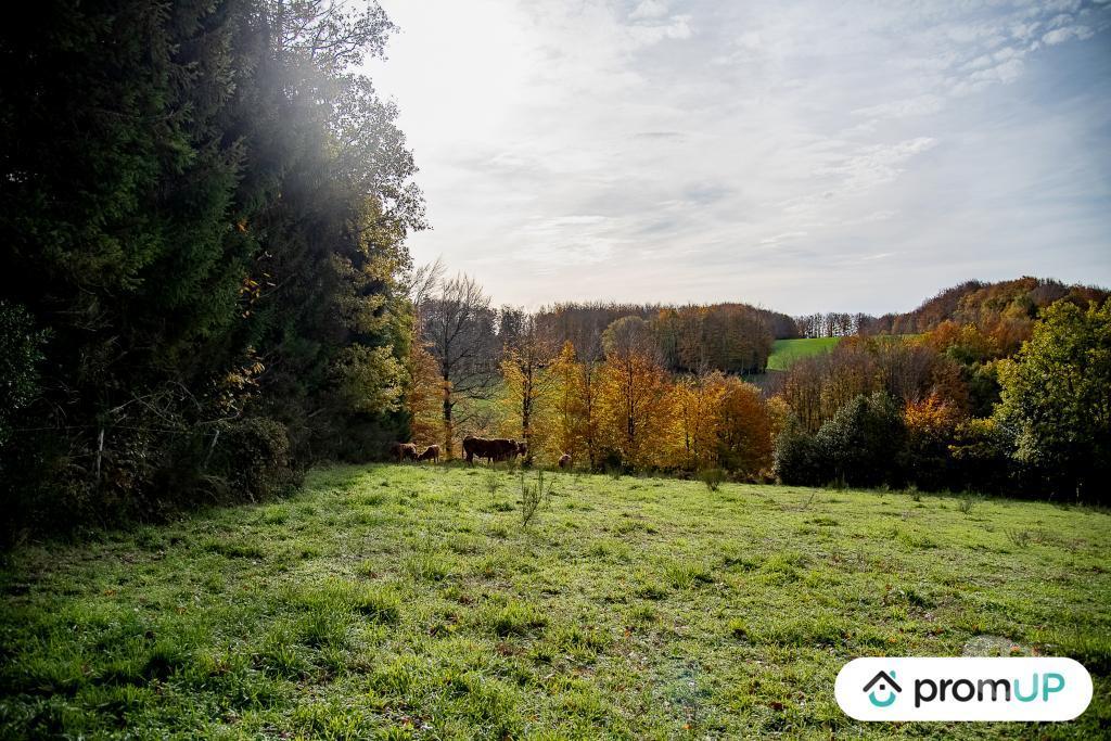 Terrain à vendre Tarn Rouairoux - 81240 - Photos Vivastreet (V4922) Terrain agricole 3,05 ha avec sources
