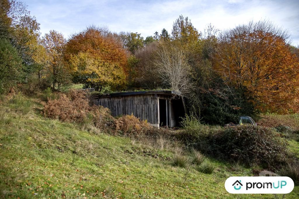 Terrain à vendre Tarn Rouairoux - 81240 - Photos Vivastreet (V4922) Terrain agricole 3,05 ha avec sources