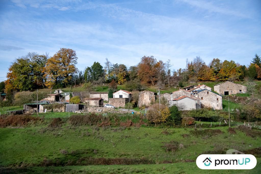 Terrain à vendre Tarn Rouairoux - 81240 - Photos Vivastreet (V4922) Terrain agricole 3,05 ha avec sources