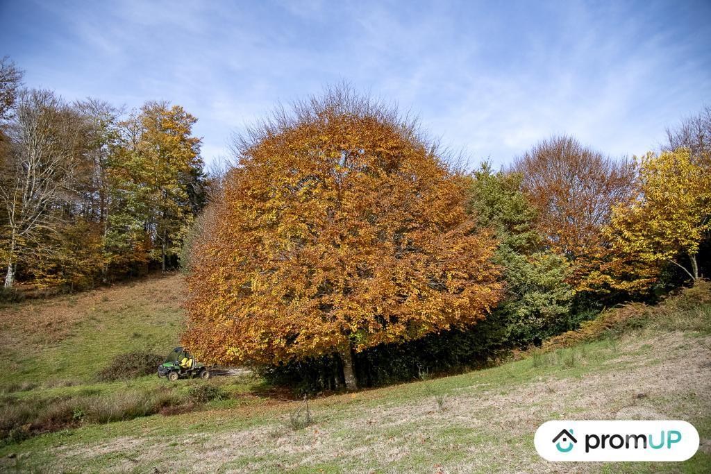 Terrain à vendre Tarn Rouairoux - 81240 - Photos Vivastreet (V4922) Terrain agricole 3,05 ha avec sources