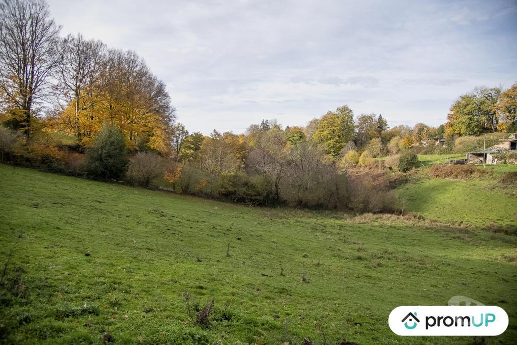 Terrain à vendre Tarn Rouairoux - 81240 - Photos Vivastreet (V4922) Terrain agricole 3,05 ha avec sources