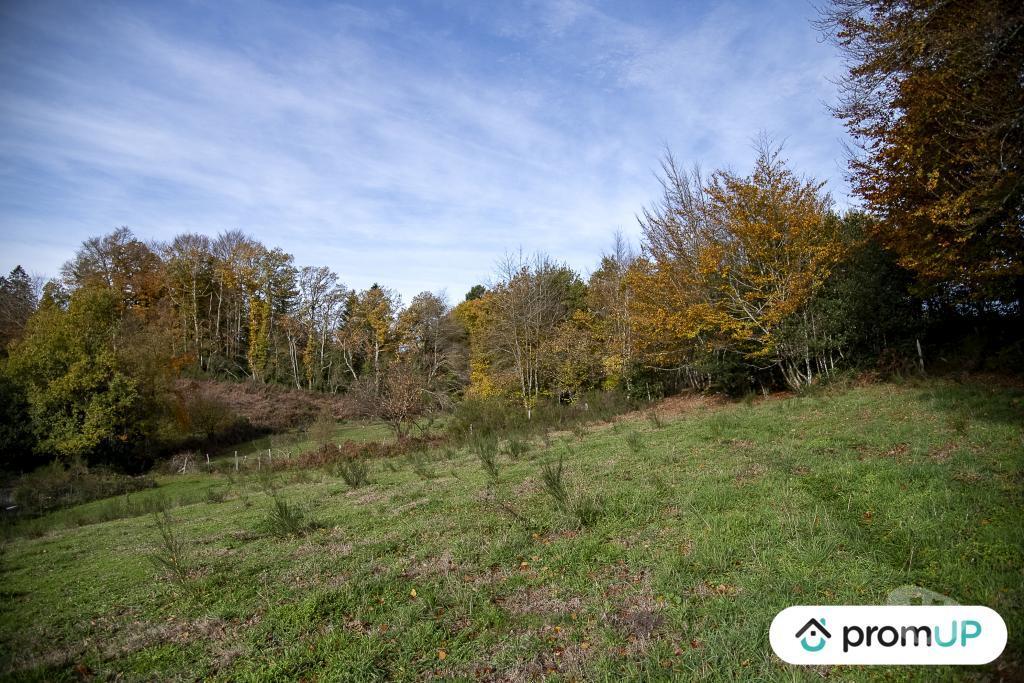 Terrain à vendre Tarn Rouairoux - 81240 - Photos Vivastreet (V4922) Terrain agricole 3,05 ha avec sources
