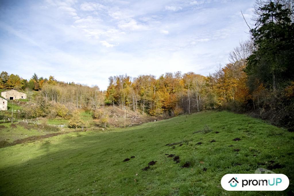Terrain à vendre Tarn Rouairoux - 81240 - Photos Vivastreet (V4922) Terrain agricole 3,05 ha avec sources