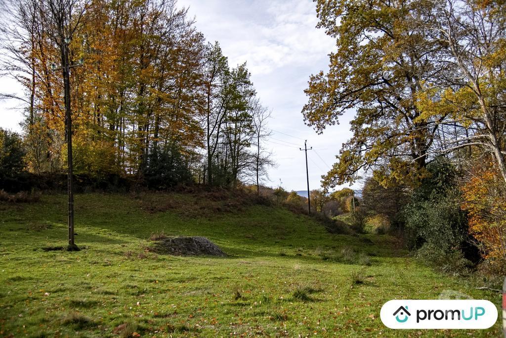 Terrain à vendre Tarn Rouairoux - 81240 - Photos Vivastreet (V4922) Terrain agricole 3,05 ha avec sources