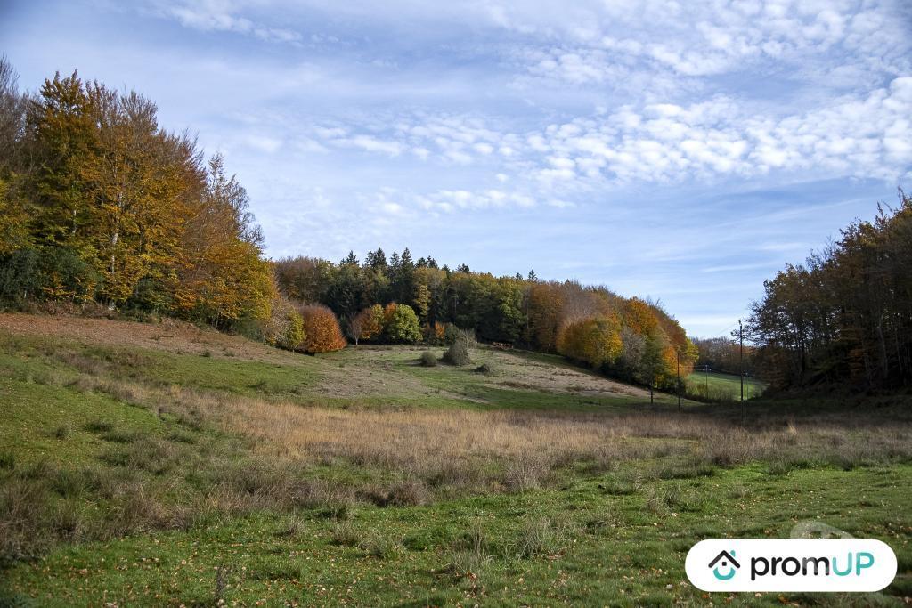 Terrain à vendre Tarn Rouairoux - 81240 - Photos Vivastreet (V4922) Terrain agricole 3,05 ha avec sources