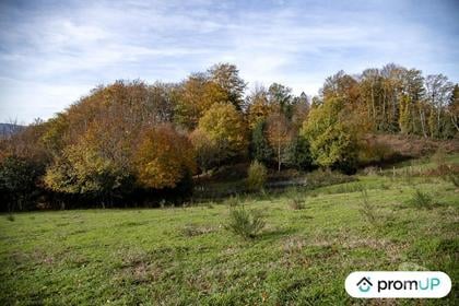 Vente Terrain Rouairoux Tarn - Photos Vivastreet (V4922) Terrain agricole 3,05 ha avec sources