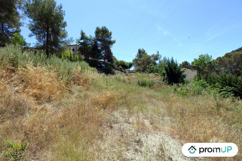 Terrain à vendre Alpes-Maritimes Contes - 06390 - Photos Vivastreet (VT918) Terrain constructible de 10 000m² situé à Contes