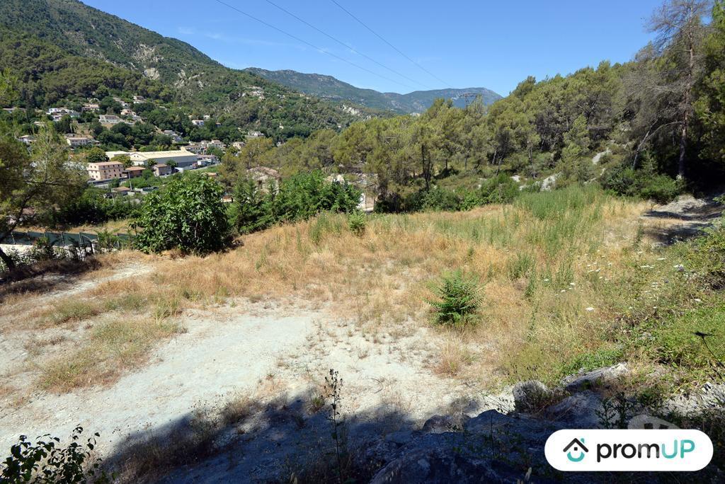 Terrain à vendre Alpes-Maritimes Contes - 06390 - Photos Vivastreet (VT918) Terrain constructible de 10 000m² situé à Contes